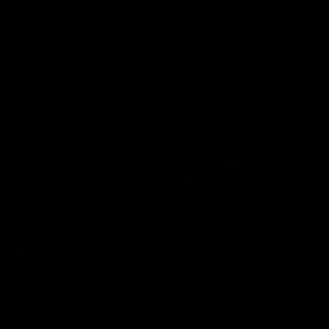 Meet your Posher, Damon